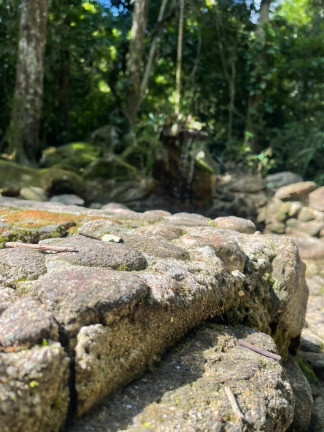 Imagem Imóvel com 5 Quartos à Venda, 20.000 m² em Maresias - São Sebastião Imagem Imóvel com 5 Quartos à Venda, 20.000 m² em Maresias - São Sebastião