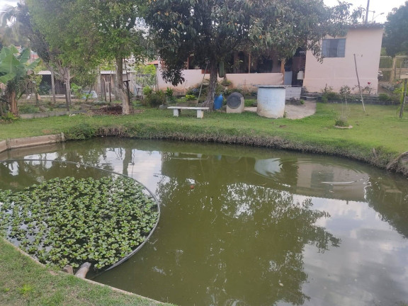 Imagem Chácara com 2 Quartos à Venda, 760 m² em Bairro Dos Leites - Piedade Imagem Chácara com 2 Quartos à Venda, 760 m² em Bairro Dos Leites - Piedade