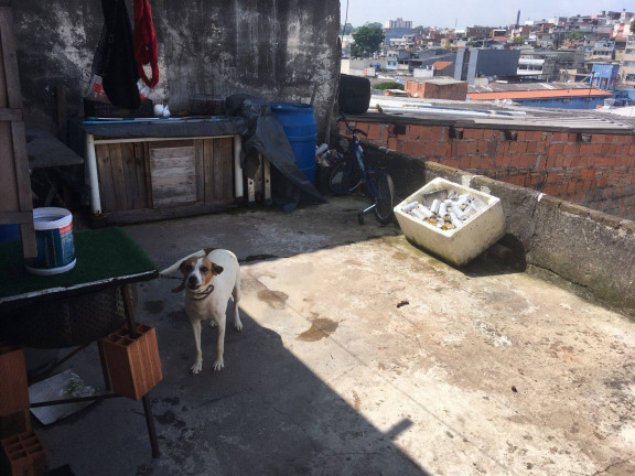 Imagem Sobrado com 2 Quartos à Venda, 125 m² em Campanario - Diadema