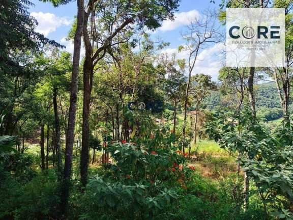 Imagem Chácara com 4 Quartos à Venda, 3.000 m² em Zona Rural - Ravena