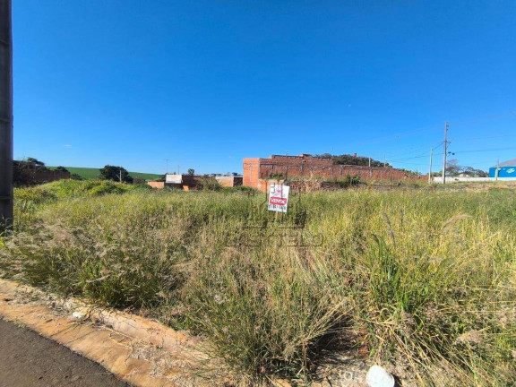 Imagem Terreno à Venda, 296 m² em São Lourenço - Londrina Imagem Terreno à Venda, 296 m² em São Lourenço - Londrina