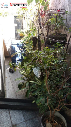 Imagem Imóvel com 3 Quartos à Venda, 120 m² em Jardim Independência - São Paulo Imagem Imóvel com 3 Quartos à Venda, 120 m² em Jardim Independência - São Paulo