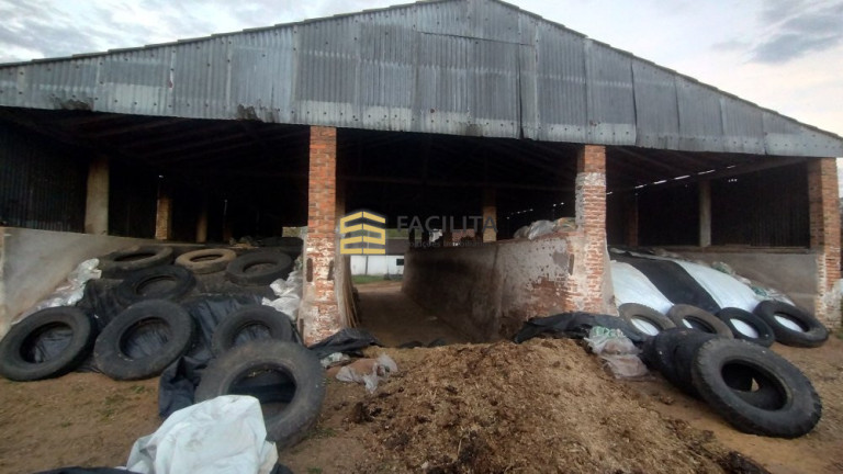 Imagem Imóvel com 3 Quartos à Venda, 660.000 m² em Hidráulica - Capão Do Leão Imagem Imóvel com 3 Quartos à Venda, 660.000 m² em Hidráulica - Capão Do Leão