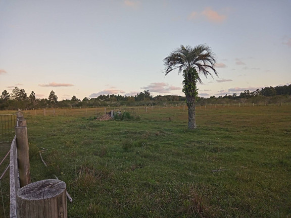 Imagem Chácara com 2 Quartos à Venda, 20.000 m² em águas Claras - Viamão