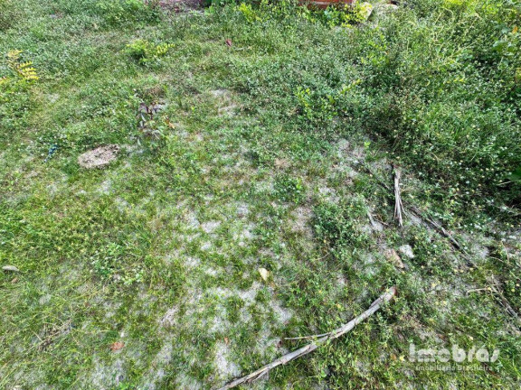 Imagem Terreno à Venda, 144.000 m² em Zona Rural - Cascavel Imagem Terreno à Venda, 144.000 m² em Zona Rural - Cascavel