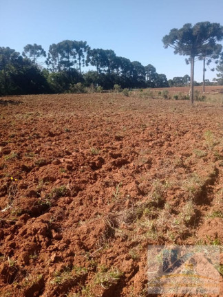 Imagem Terreno à Venda, 6.600 m² em Campo Largo Da Roseira - São José Dos Pinhais Imagem Terreno à Venda, 6.600 m² em Campo Largo Da Roseira - São José Dos Pinhais