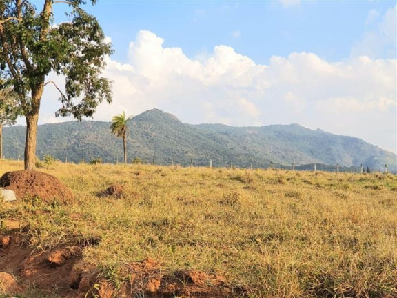 Imagem Terreno à Venda, 61.000 m² em Jardim Dos Pinheiros - Atibaia Imagem Terreno à Venda, 61.000 m² em Jardim Dos Pinheiros - Atibaia