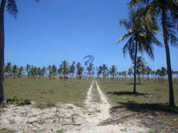 Imagem Terreno à Venda, 436.000 m² em Centro - Conde Imagem Terreno à Venda, 436.000 m² em Centro - Conde