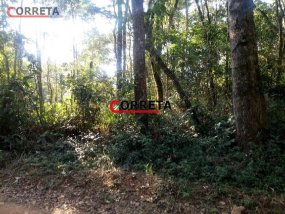 Imagem Terreno à Venda, 3.000 m² em Piratuba - Ibiúna Imagem Terreno à Venda, 3.000 m² em Piratuba - Ibiúna