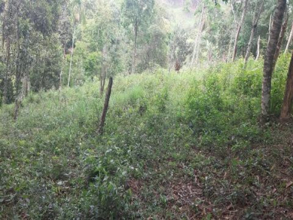 Imagem Terreno à Venda, 5.470 m² em Santa Isabel - Santa Isabel