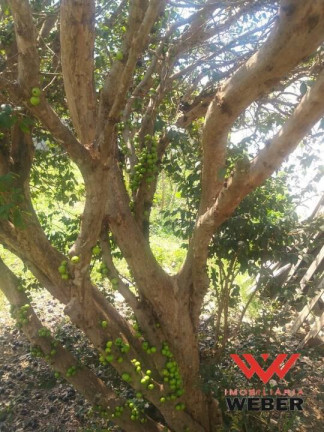 Chácara com 3 Quartos à Venda, 1.150 m² em Bosque Dos Eucaliptos - Araçoiaba Da Serra