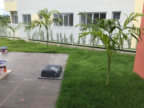 Imagem Apartamento com 2 Quartos à Venda, 50 m² em Uruguai - Teresina Imagem Apartamento com 2 Quartos à Venda, 50 m² em Uruguai - Teresina