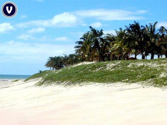 Imagem Terreno à Venda, 10 m² em Praia Da Baleia - Itapipoca Imagem Terreno à Venda, 10 m² em Praia Da Baleia - Itapipoca