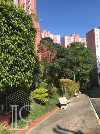 Imagem Apartamento com 2 Quartos à Venda, 55 m² em Cidade Ademar - São Paulo Imagem Apartamento com 2 Quartos à Venda, 55 m² em Cidade Ademar - São Paulo