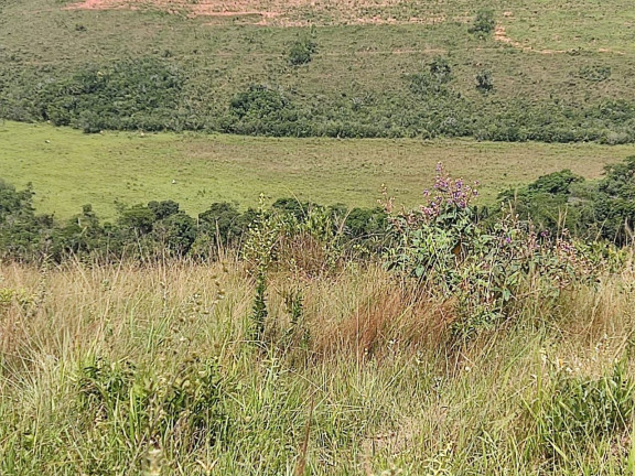 Imagem Fazenda à Venda, 150 m² em Nossa Senhora De Lourdes - São Lourenço Imagem Fazenda à Venda, 150 m² em Nossa Senhora De Lourdes - São Lourenço