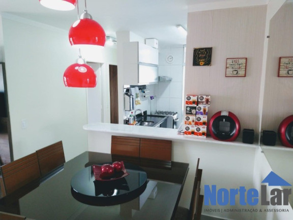 Imagem Apartamento com 2 Quartos à Venda, 50 m² em Vila Carolina - São Paulo Imagem Apartamento com 2 Quartos à Venda, 50 m² em Vila Carolina - São Paulo