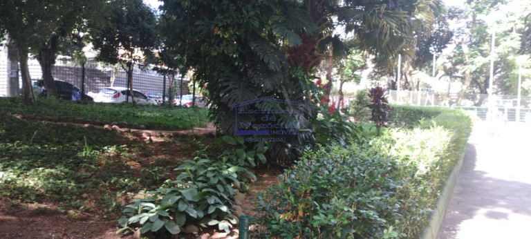 Imagem Imóvel com 3 Quartos à Venda, 67 m² em Petrópolis - Porto Alegre Imagem Imóvel com 3 Quartos à Venda, 67 m² em Petrópolis - Porto Alegre