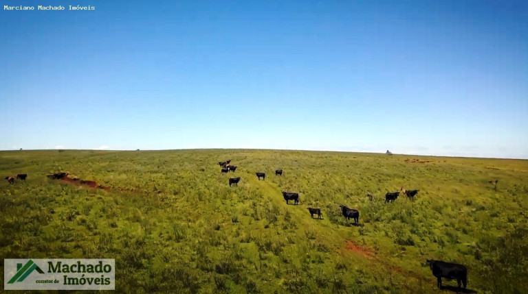 Imagem Imóvel à Venda, 48.470.000 m² em Rural - Itacurubi Imagem Imóvel à Venda, 48.470.000 m² em Rural - Itacurubi