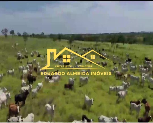 Imagem Imóvel à Venda,  em Barreira Da Onça - Arraias