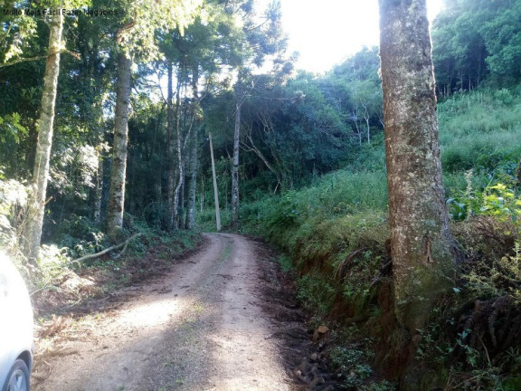 Imagem Terreno à Venda, 2 m² em Linha Imperial - Nova Petrópolis Imagem Terreno à Venda, 2 m² em Linha Imperial - Nova Petrópolis