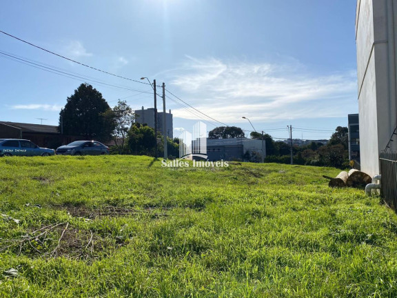 Terreno à Venda, 435 m² em Bela Vista - Caxias Do Sul