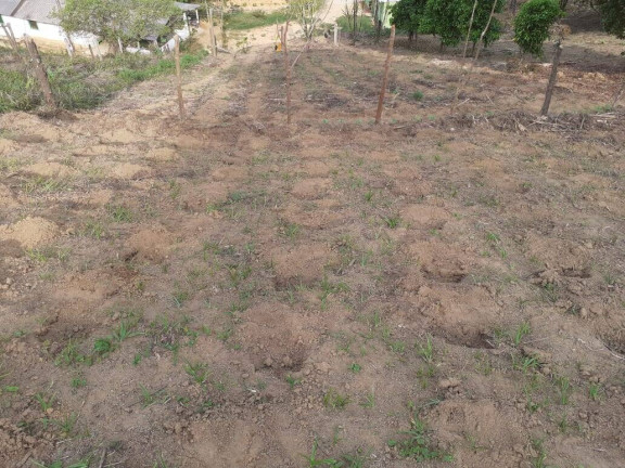 Imagem Chácara à Venda, 2 m² em Briet Catuçaba - São Luíz Do Paraitinga Imagem Chácara à Venda, 2 m² em Briet Catuçaba - São Luíz Do Paraitinga