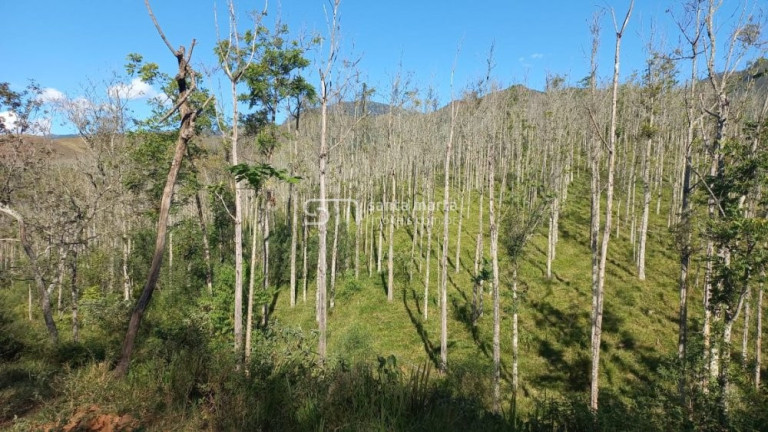 Imagem Imóvel à Venda, 1.477.200 m² em Bairro Bom Retiro - Bananal Imagem Imóvel à Venda, 1.477.200 m² em Bairro Bom Retiro - Bananal