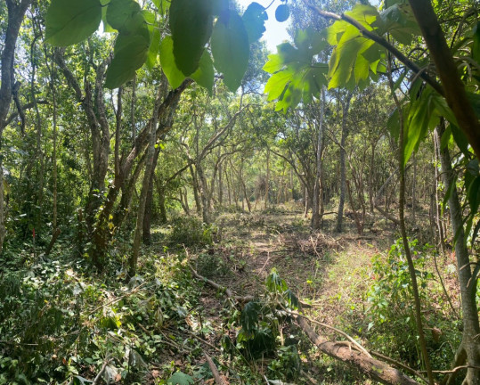 Imagem Terreno à Venda, 2.500 m² em Balneário São José - São Paulo