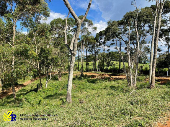 Imagem Chácara à Venda, 41 m² em Pitangueiras - Pedra Bela Imagem Chácara à Venda, 41 m² em Pitangueiras - Pedra Bela