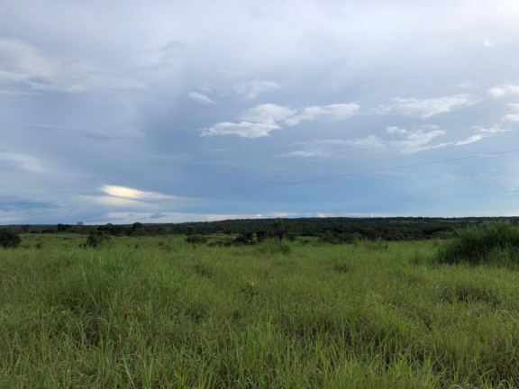 Imagem Fazenda à Venda,  em Rural - Figueirópolis