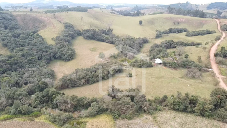 Imagem Imóvel com 2 Quartos à Venda, 29 m² em Pessegueiros - Campestre Imagem Imóvel com 2 Quartos à Venda, 29 m² em Pessegueiros - Campestre