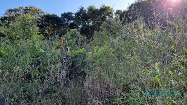 Imagem Imóvel à Venda, 82 m² em Machado - Gonçalves
