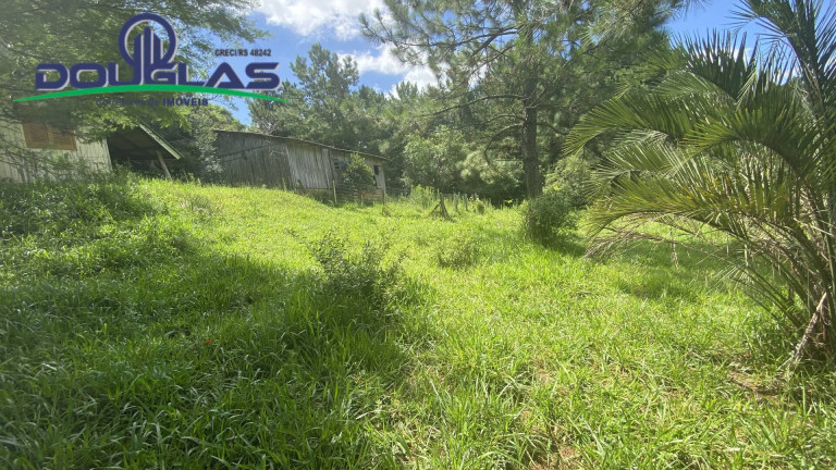 Imagem Terreno à Venda, 5.000 m² em Viamão