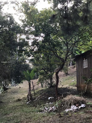 Imagem Chácara com 1 Quarto à Venda, 50 m² em Martins - Natividade Da Serra Imagem Chácara com 1 Quarto à Venda, 50 m² em Martins - Natividade Da Serra