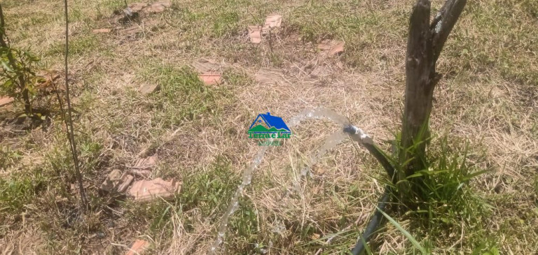 Imagem Imóvel com 1 Quarto à Venda, 110 m² em Zona Rural - Aiuruoca Imagem Imóvel com 1 Quarto à Venda, 110 m² em Zona Rural - Aiuruoca