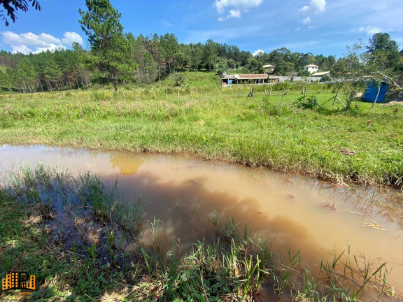 Imagem Imóvel com 2 Quartos à Venda, 7.000 m² em Girassol - São Lourenço Da Serra Imagem Imóvel com 2 Quartos à Venda, 7.000 m² em Girassol - São Lourenço Da Serra