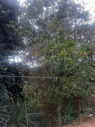 Imagem Chácara com 2 Quartos à Venda, 90 m² em Mairiporã Imagem Chácara com 2 Quartos à Venda, 90 m² em Mairiporã