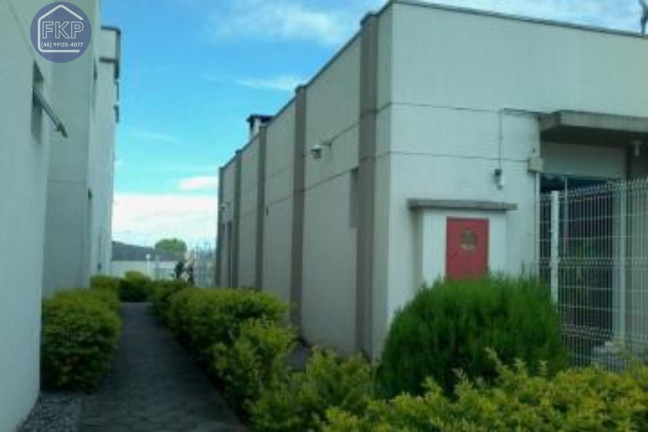Imagem Apartamento com 2 Quartos à Venda, 53 m² em Cordeiros - Itajaí