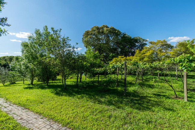Imagem Chácara com 3 Quartos à Venda, 80 m² em Thomaz Coelho - Araucária Imagem Chácara com 3 Quartos à Venda, 80 m² em Thomaz Coelho - Araucária