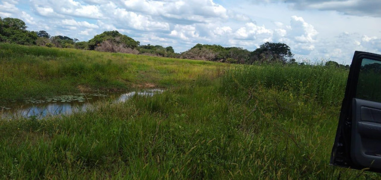Imagem Fazenda à Venda, 1.200 m² em Rural - Corumbá