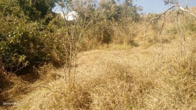 Imagem Terreno à Venda, 10.000 m² em Camanducaia Do Meio - Socorro Imagem Terreno à Venda, 10.000 m² em Camanducaia Do Meio - Socorro