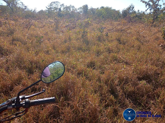 Imagem Fazenda à Venda, 38 m² em Zona Rural - Caiapônia Imagem Fazenda à Venda, 38 m² em Zona Rural - Caiapônia