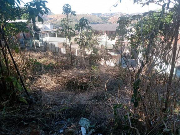 Imagem Imóvel à Venda, 1.000 m² Imagem Imóvel à Venda, 1.000 m²
