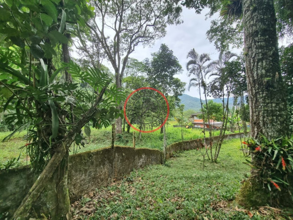 Imagem Casa com 3 Quartos à Venda, 1.000 m² em Boiçucanga - São Sebastião Imagem Casa com 3 Quartos à Venda, 1.000 m² em Boiçucanga - São Sebastião