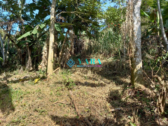 Imagem Terreno à Venda, 1.938 m² em Barra Velha - Ilhabela