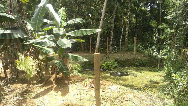 Imagem Chácara com 1 Quarto à Venda, 1.000 m² em Praia Da Maranduba - Ubatuba