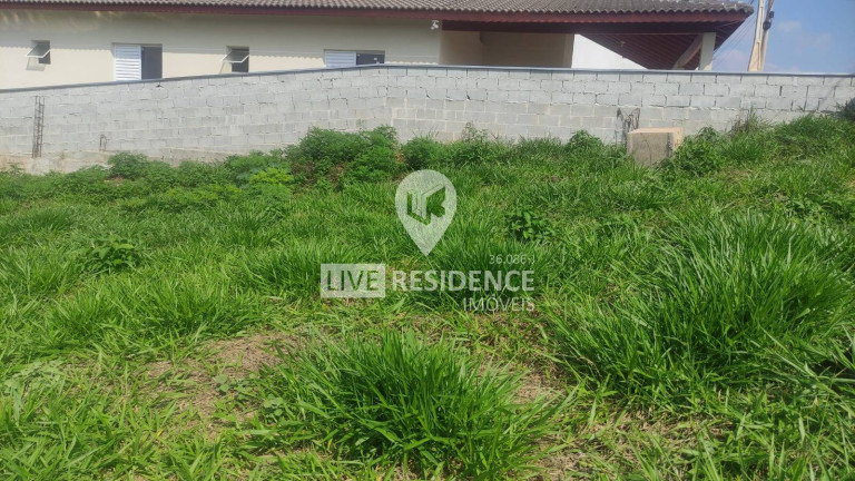 Imagem Terreno em Condomínio à Venda, 384 m² em Loteamento Terras Da Fazenda - Itatiba Imagem Terreno em Condomínio à Venda, 384 m² em Loteamento Terras Da Fazenda - Itatiba
