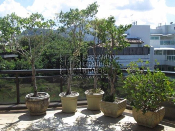 Imagem Imóvel com 4 Quartos à Venda, 340 m² em Barra Da Tijuca - Rio De Janeiro Imagem Imóvel com 4 Quartos à Venda, 340 m² em Barra Da Tijuca - Rio De Janeiro