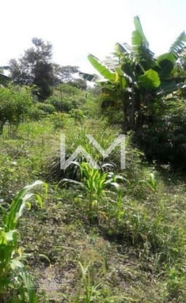 Imagem Terreno à Venda, 6.000 m² em Jardim Presidente Dutra - Guarulhos Imagem Terreno à Venda, 6.000 m² em Jardim Presidente Dutra - Guarulhos
