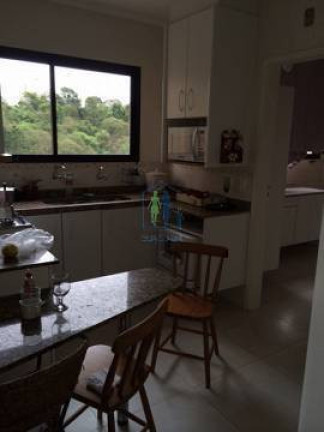 Imagem Apartamento com 3 Quartos à Venda, 130 m² em Vila Suzana - São Paulo Imagem Apartamento com 3 Quartos à Venda, 130 m² em Vila Suzana - São Paulo